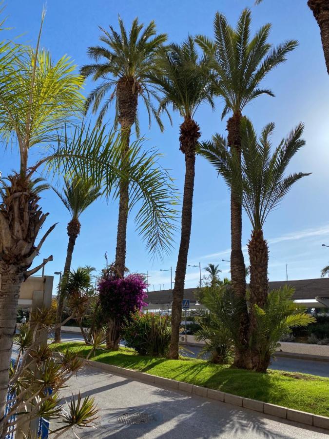 Amazing 2-Bedrooms Apartment With Pool Torrevieja Center Exteriér fotografie